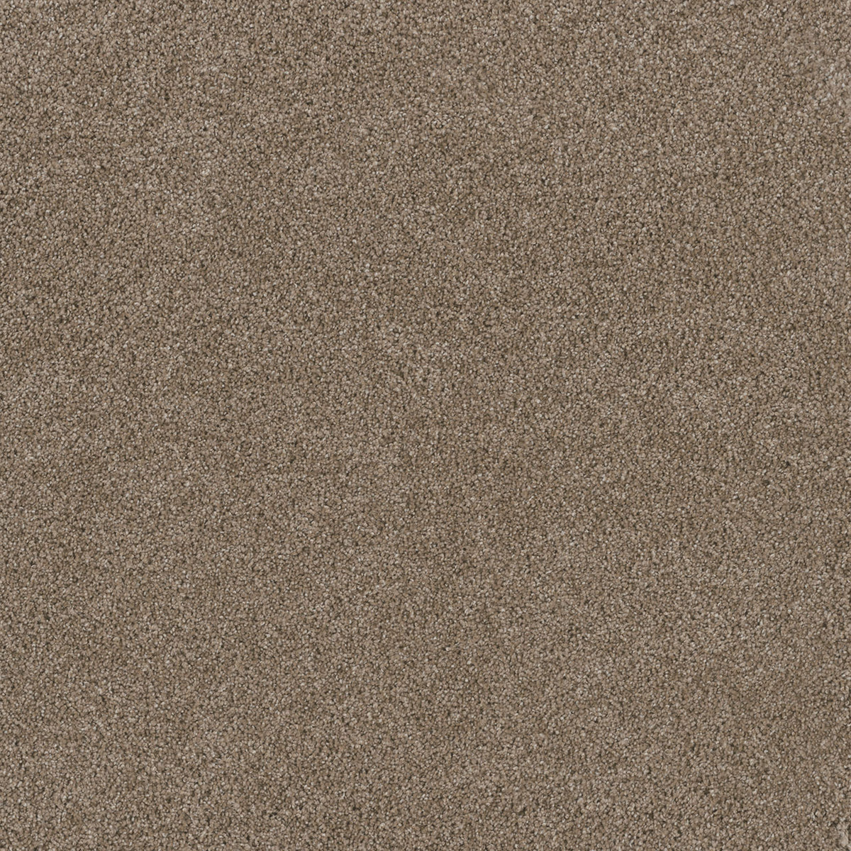 STUNNING - Tumbleweed - Swatch