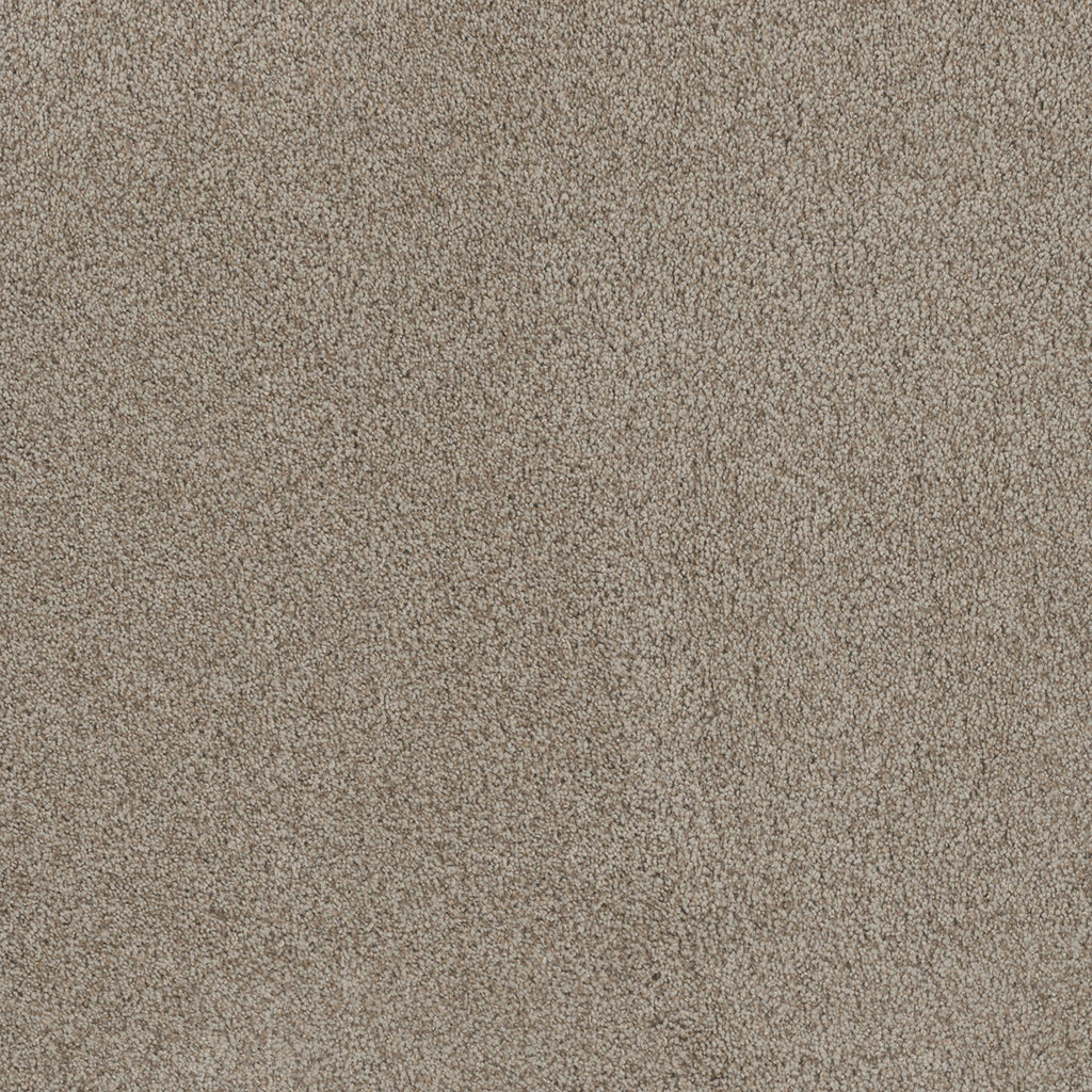 STUNNING - Stucco - Swatch