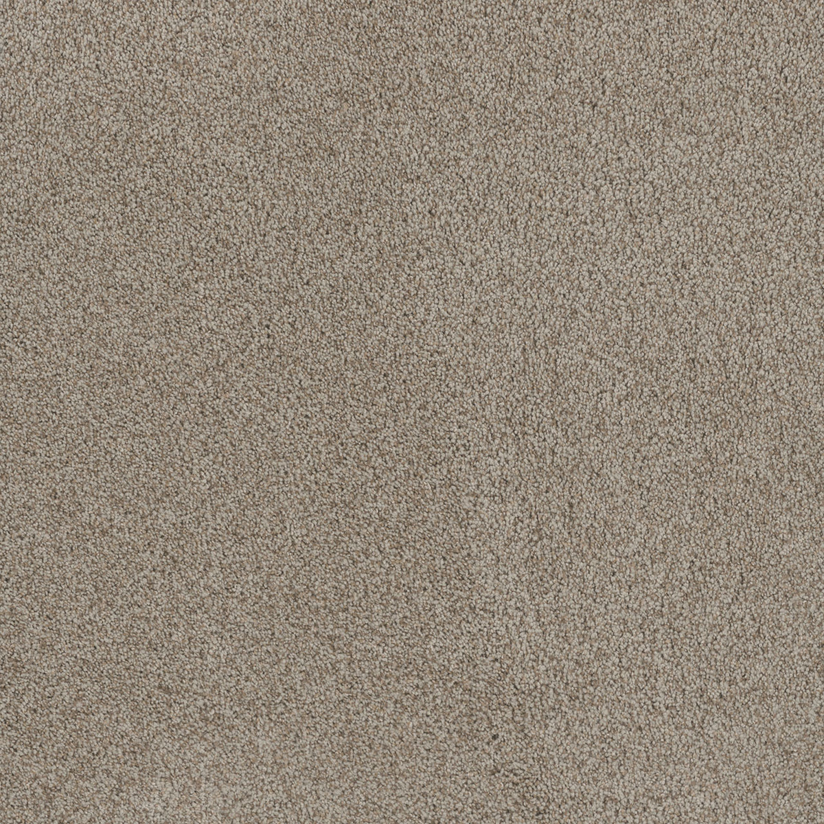 STUNNING - Stucco - Swatch