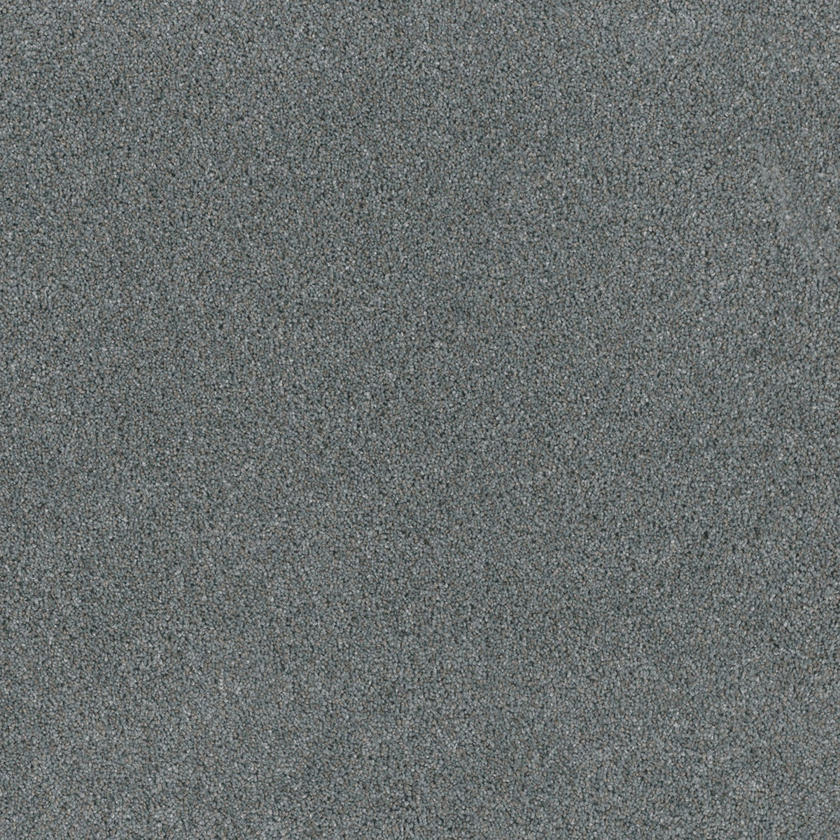 STUNNING - Galactic - Swatch