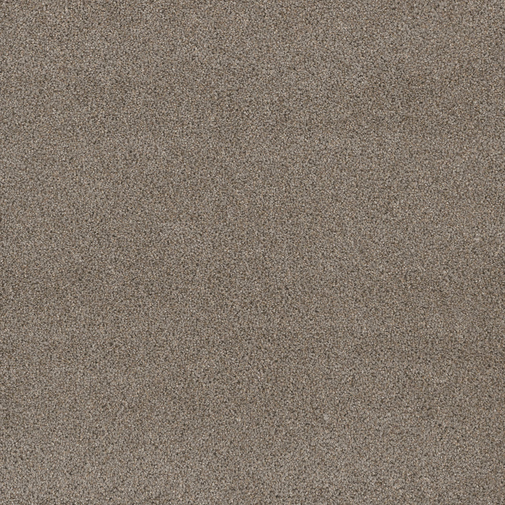 STUNNING - Ash - Swatch
