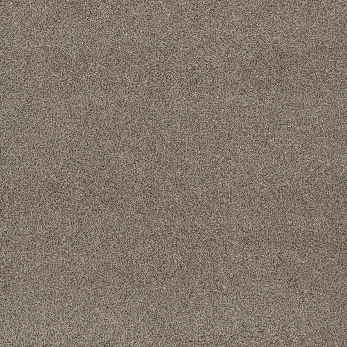 STUNNING - Ash - Swatch