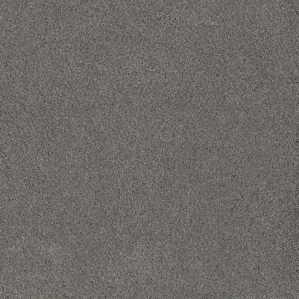 STUNNING - Orion - Swatch