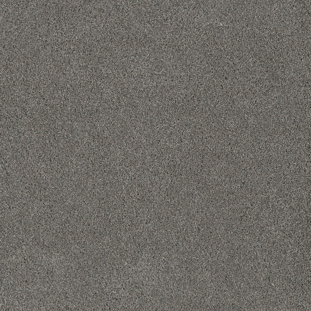 STUNNING - Orion - Swatch