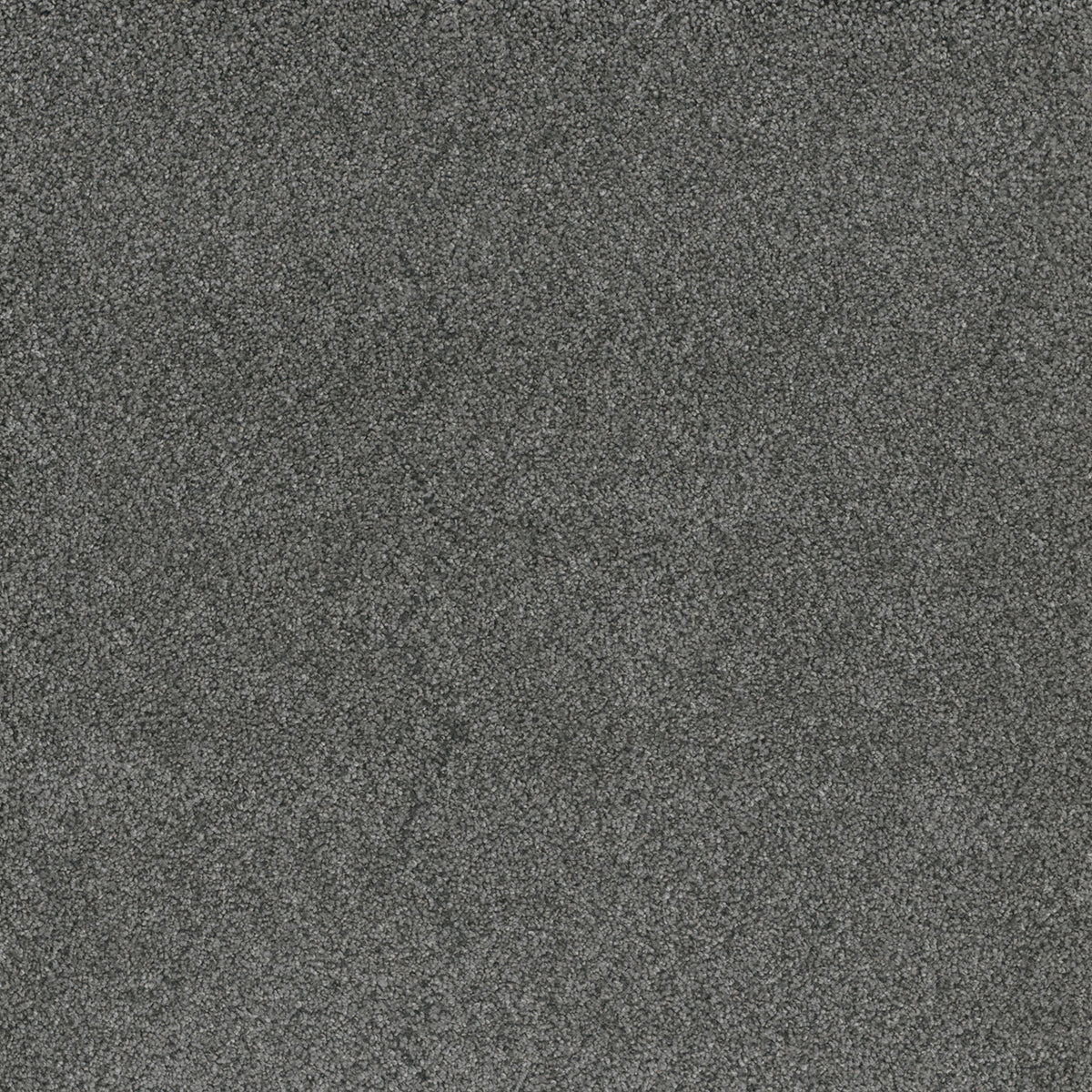 STUNNING - Zinc - Swatch