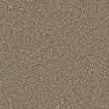 DAZZLING - Acorn - Swatch