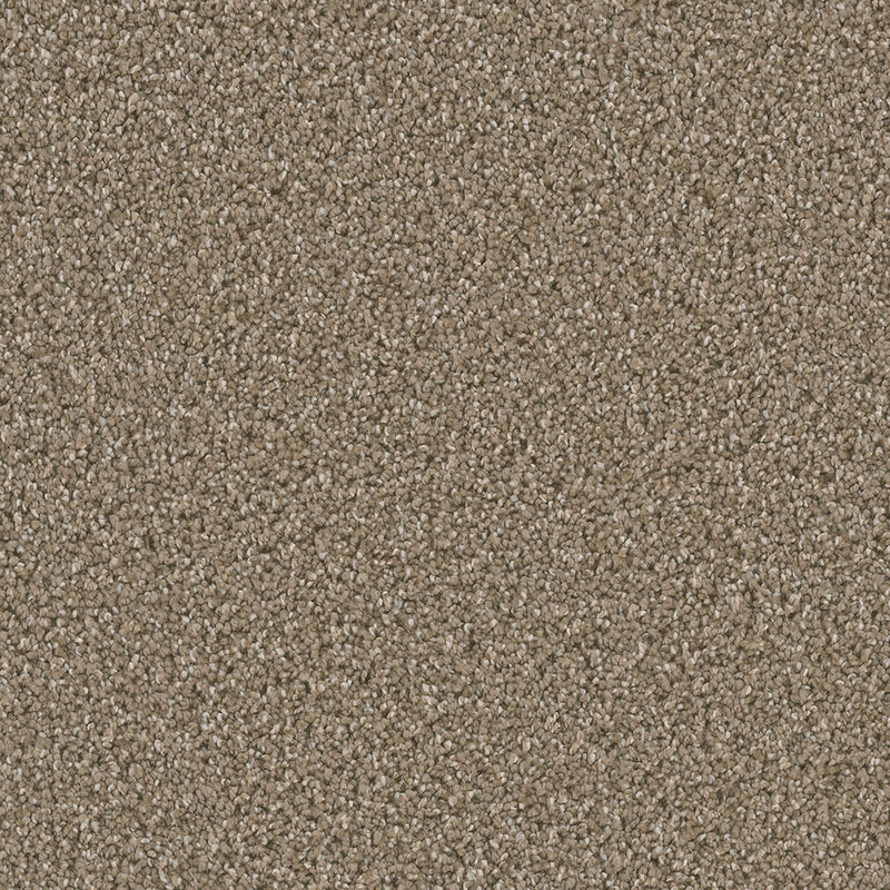 DAZZLING - Acorn - Swatch