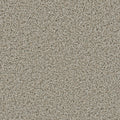 Stucco