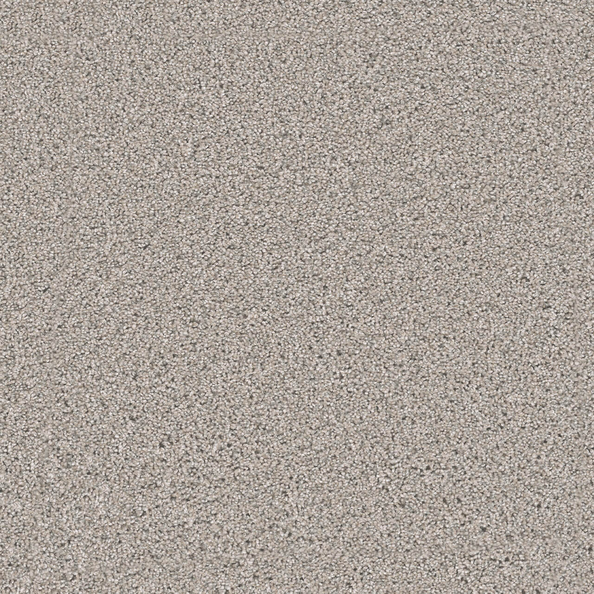 WINDY CITY I - Antique Fresco - Swatch