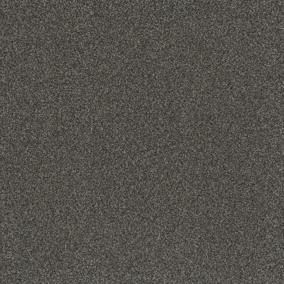 TITAN I - Beacon Hill - Swatch