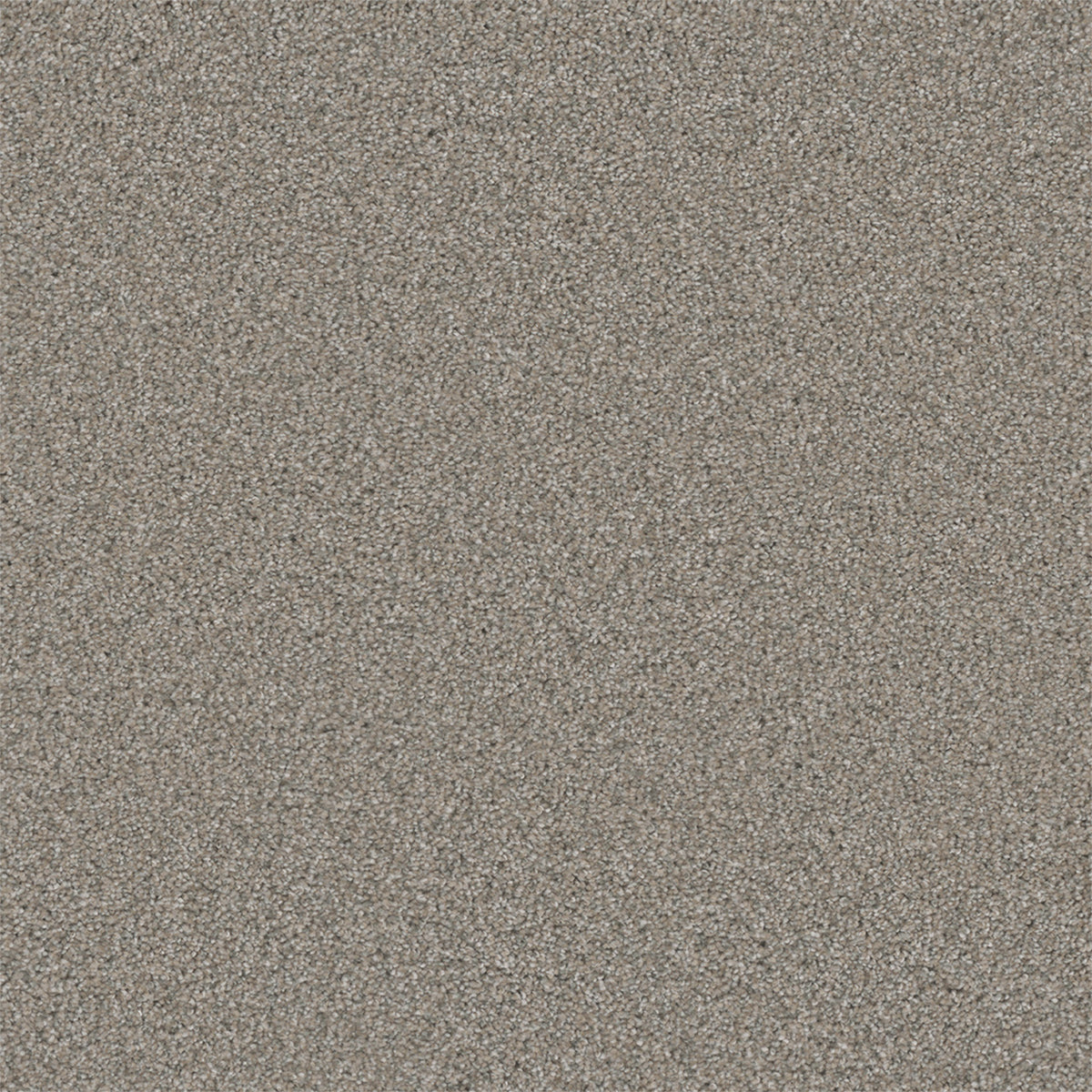 ROYALE II - Antique Fresco - Swatch