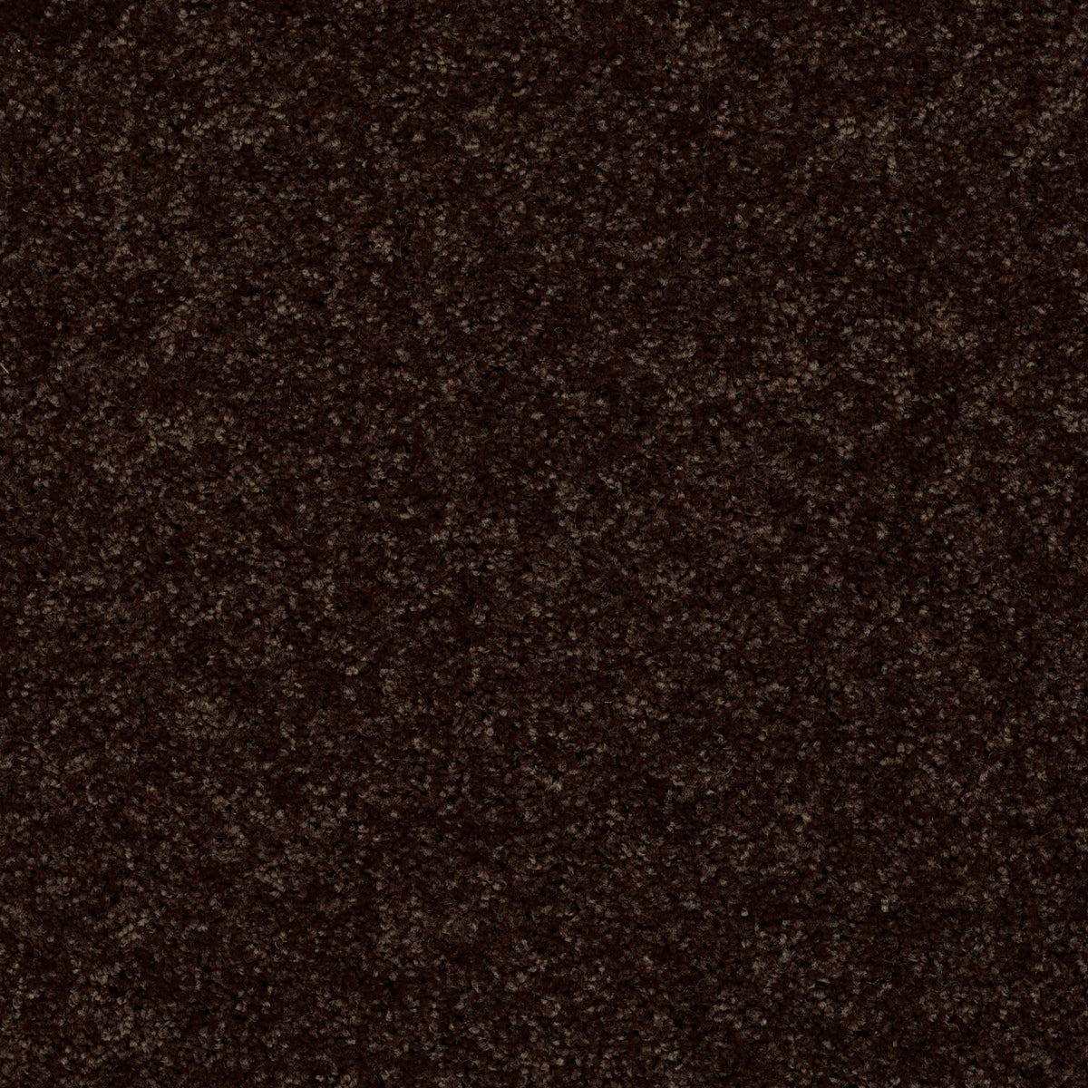 Full Court 12' - Coffee Bean