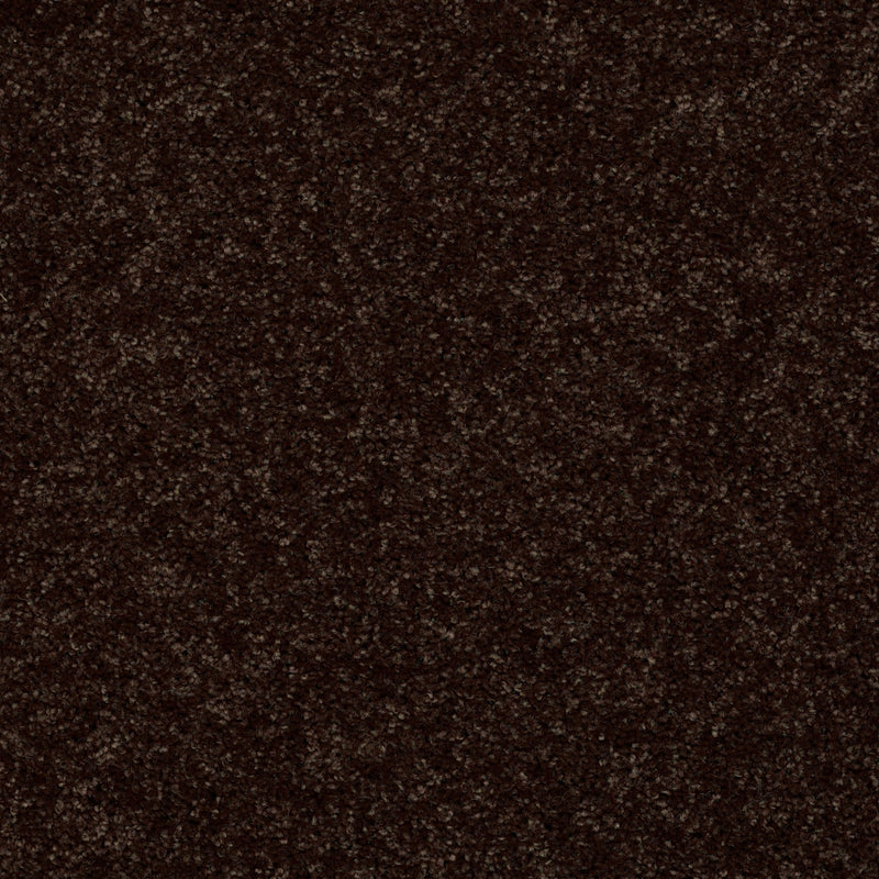 Full Court 12' - Coffee Bean
