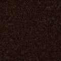 Full Court 12' - Coffee Bean