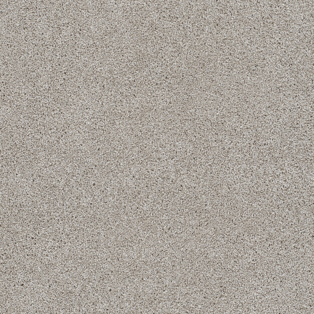REFLECTIONS II - Acadia - Swatch