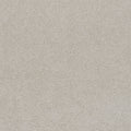 Blank Canvas