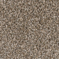 Toasted Chestnut