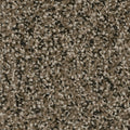 Magnetite