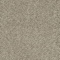 BRAZEN I - Acadia - Swatch