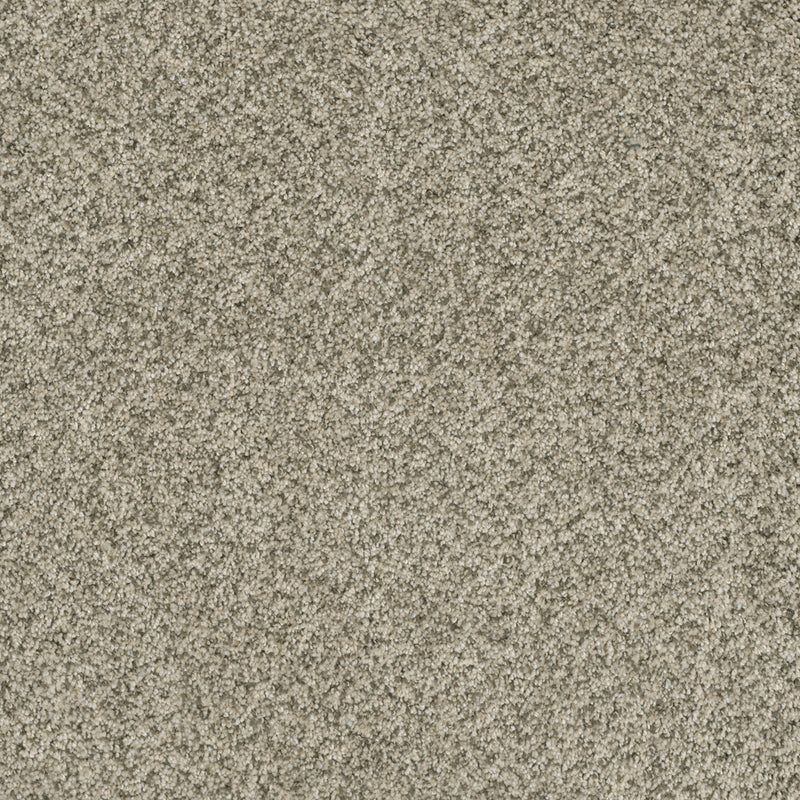 BRAZEN II - Acadia - Swatch