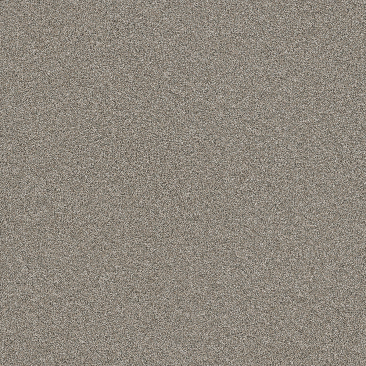 BLAZER III - Antique Fresco - Swatch