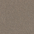 TIMBERLINE I - Baked Apple - Swatch