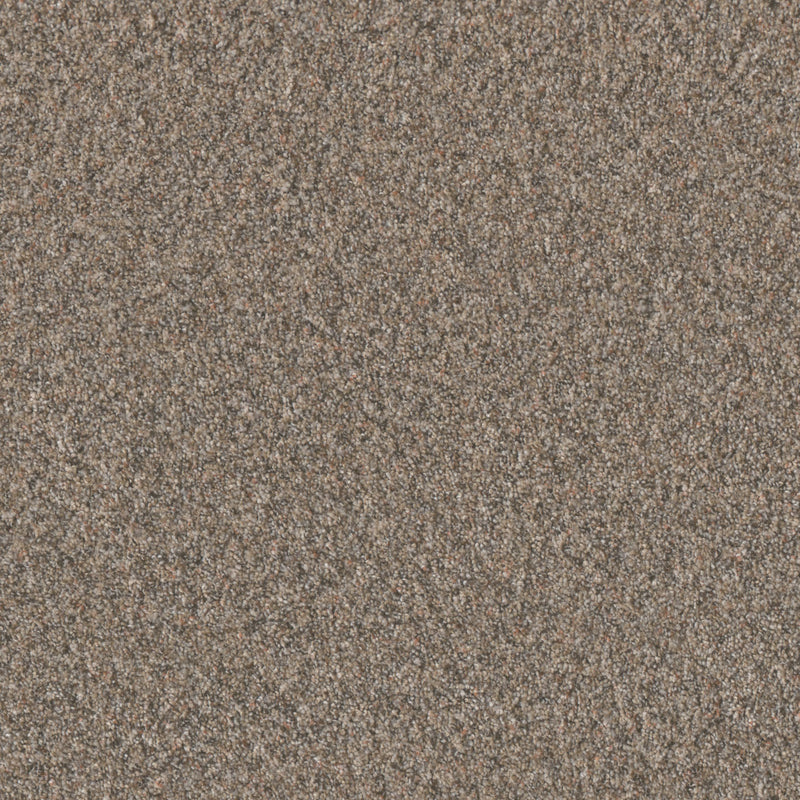 TIMBERLINE I - Baked Apple - Swatch