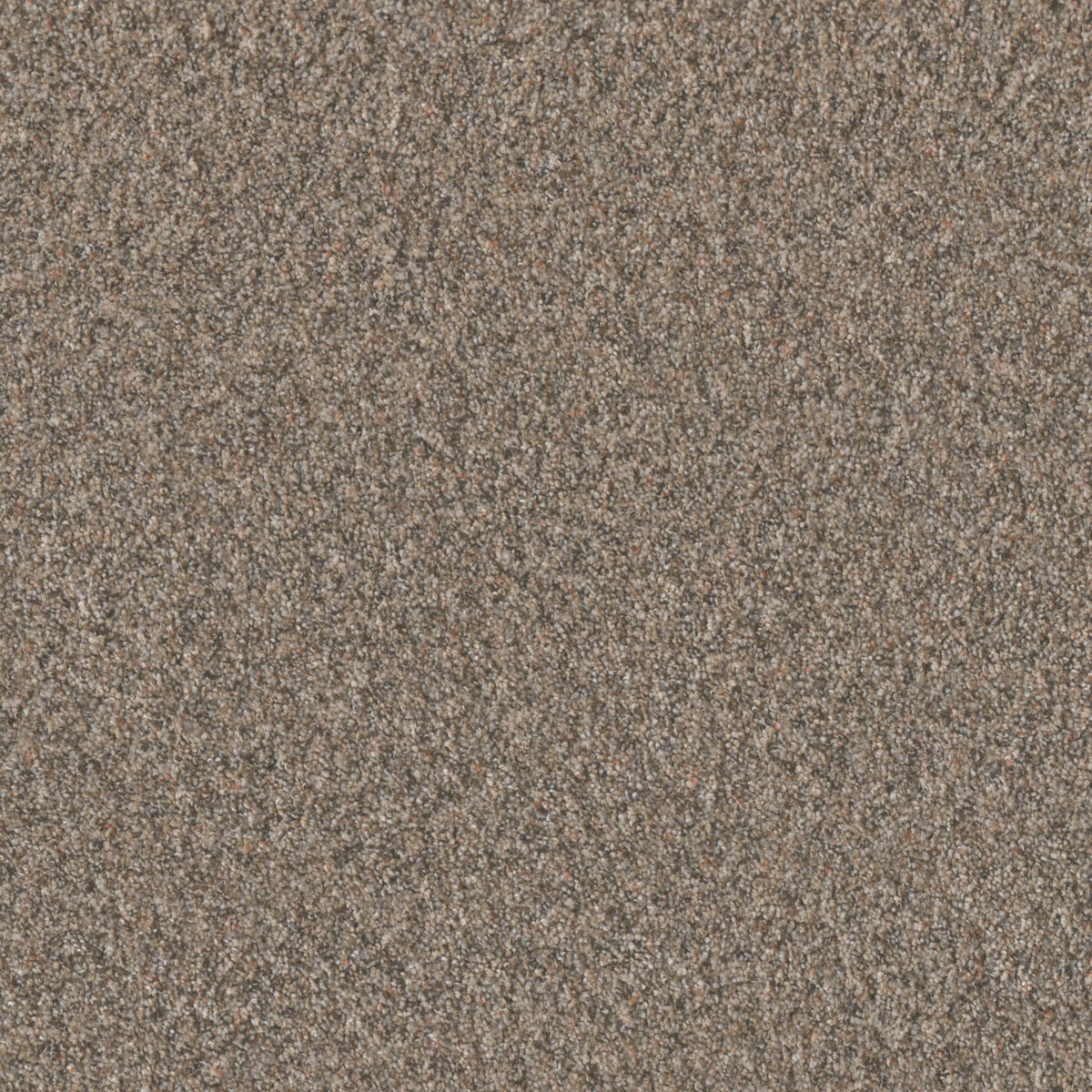 TIMBERLINE III - Baked Apple - Swatch