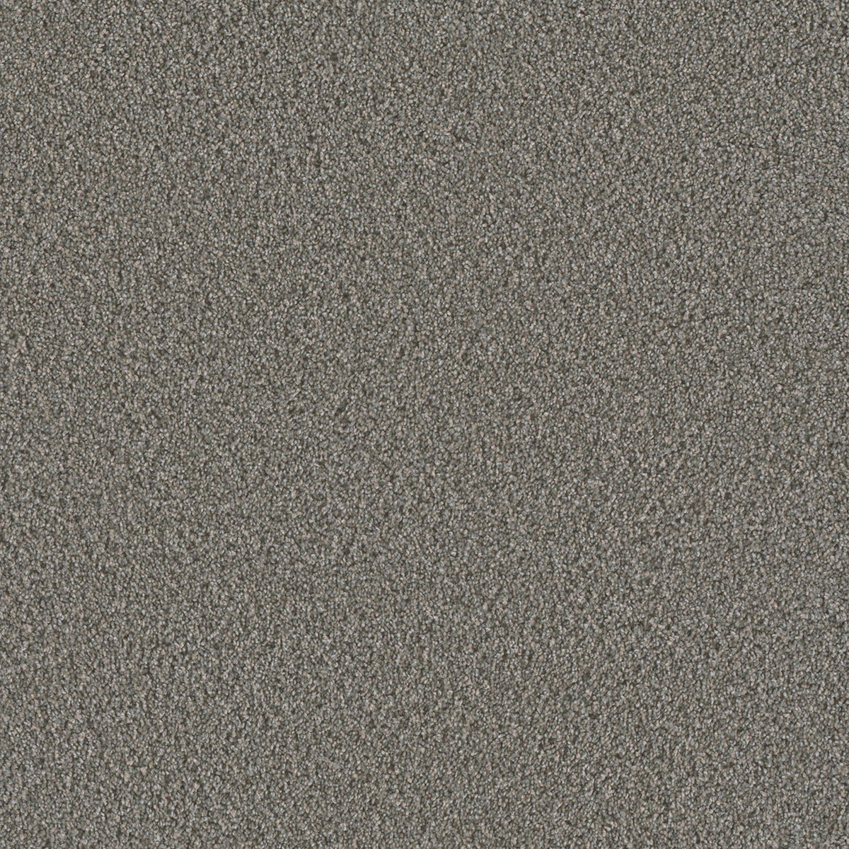 METROPOLIS II - Aloe - Swatch