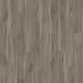 Waxwing Pine