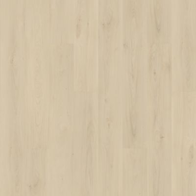 AWF-Mohawk-Color:8138E63BC6E7AAF3004E34C8