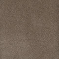 Shellbark