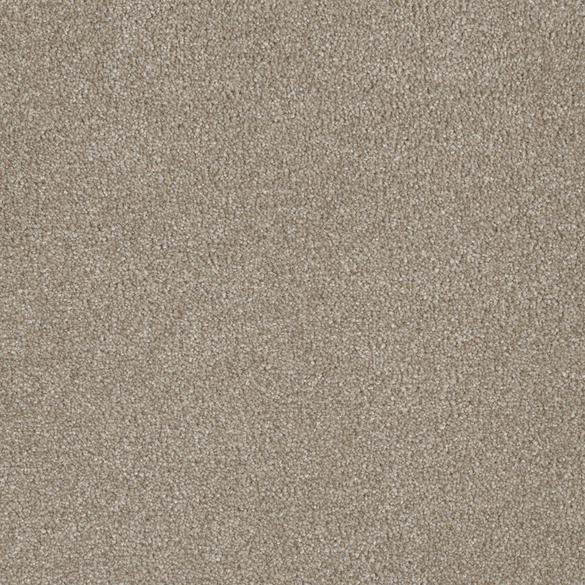 LUXOR II - Cameo - Swatch