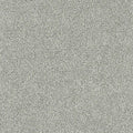 NEW DAWN III - Altavista - Swatch