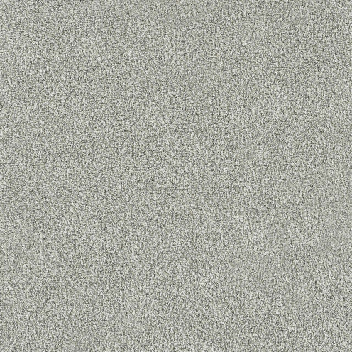 NEW DAWN III - Altavista - Swatch