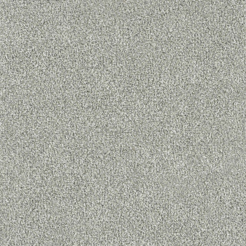 NEW DAWN II - Altavista - Swatch