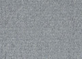 Birch Gray