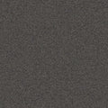 Steel Gray