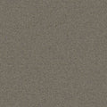 Birch Gray