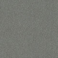 Pumice