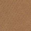 Studio Clay