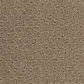 Rustic Stone