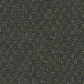 Rich Titanium