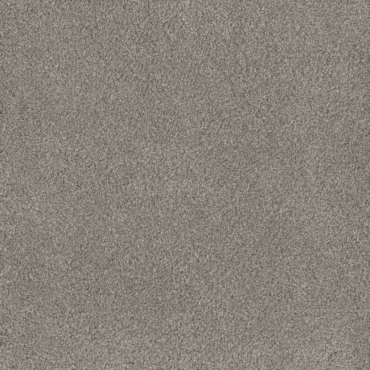 MONTE CARLO I - Antique Fresco - Swatch