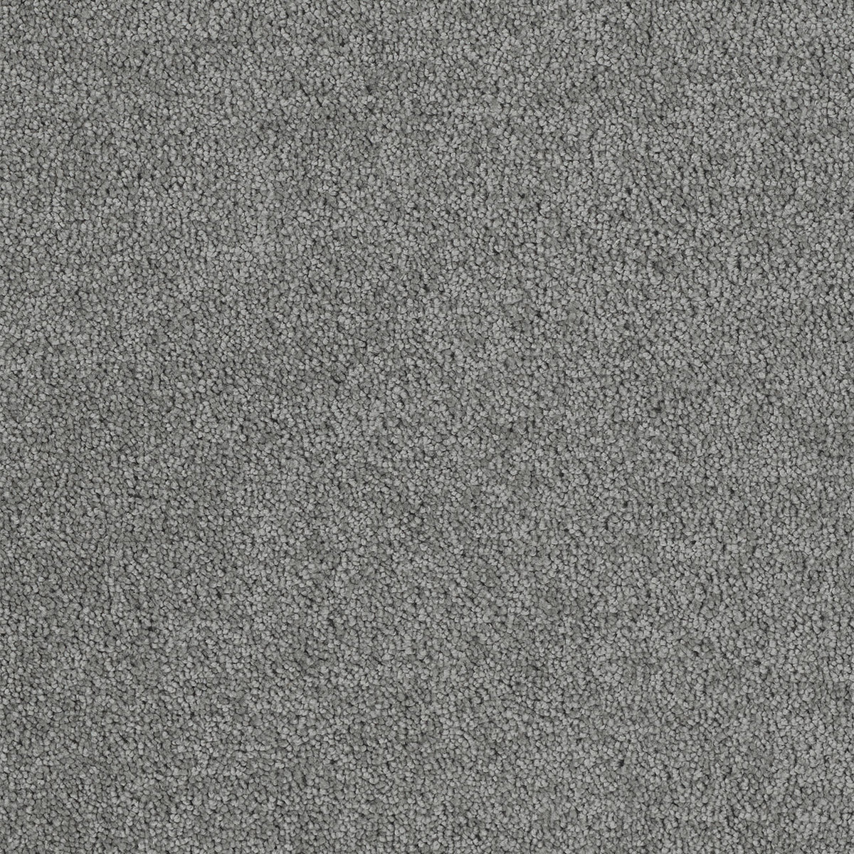 Hollywood - Armor - Swatch