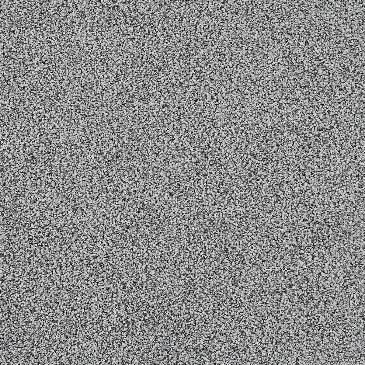 PRETTY PENNY III - Cityscape - Swatch