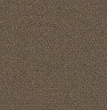 Sand Dune