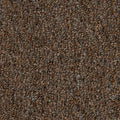 Chestnut