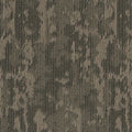 Olive Tree