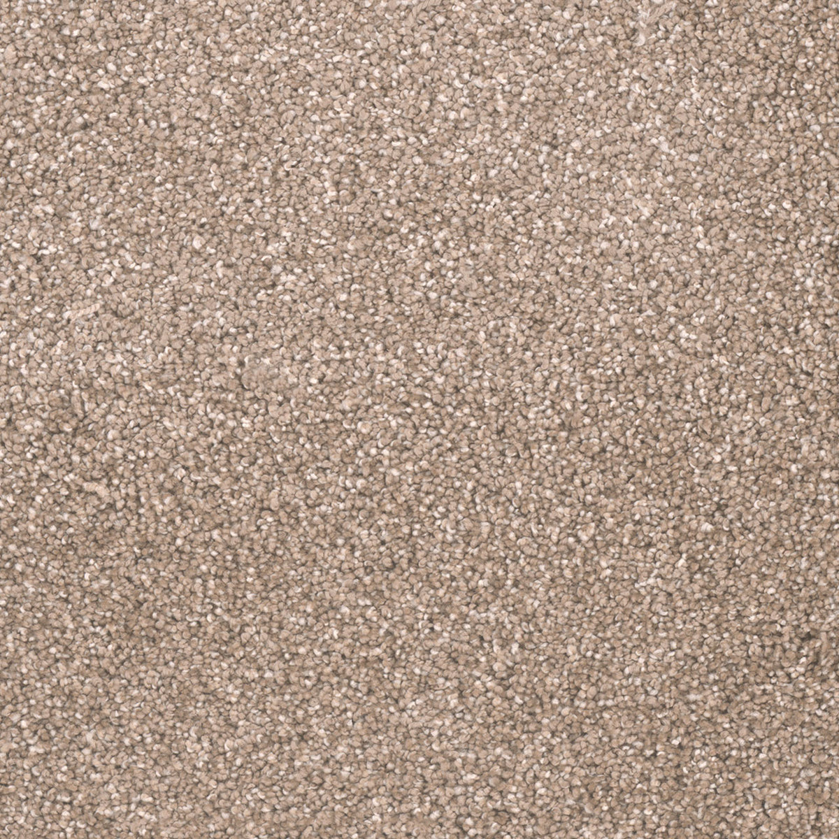 METROPOLITAN II - Acorn - Swatch